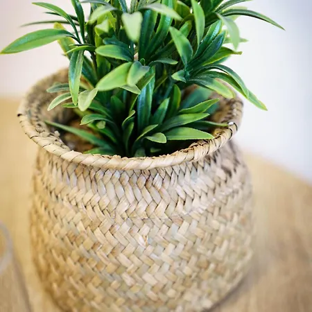 Stud Terra 2pers Wifi Center *